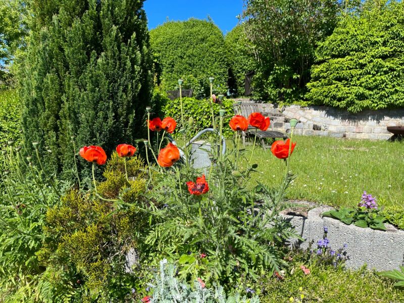 Hausnotruf im Garten nutzen